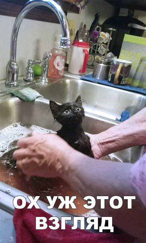 Немного милоты