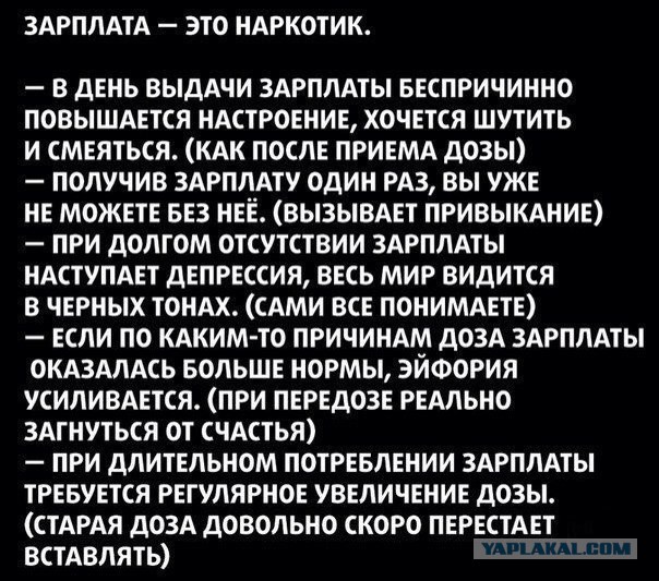Анекдоты, соц-сети и картинки с надписями