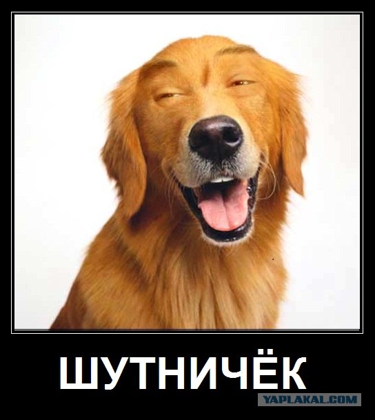 Зоопарк чучел