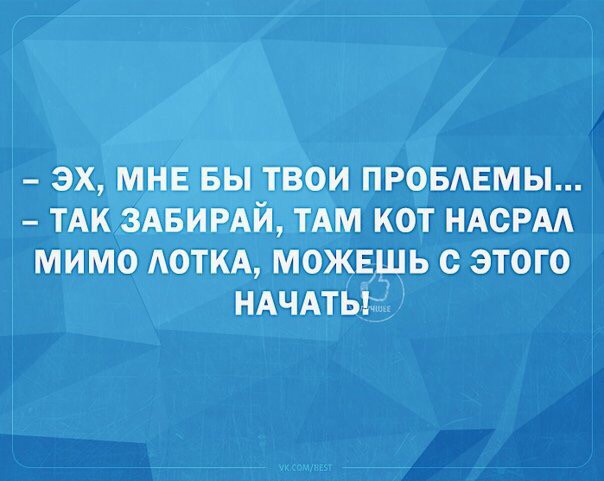 Порция картинок