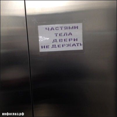 Перлы 12.08.2019