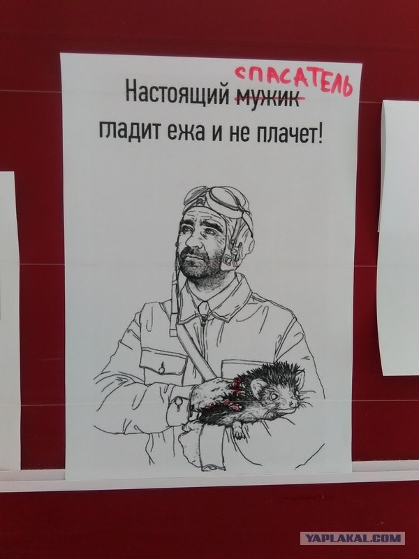 «Схватил стул и ударил меня в глаз»: пермский спасатель обвинил начальство в избиении