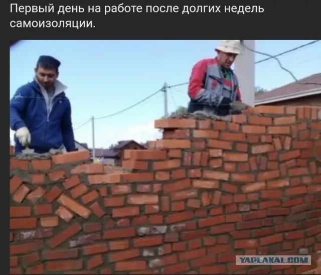 Подборка баянов