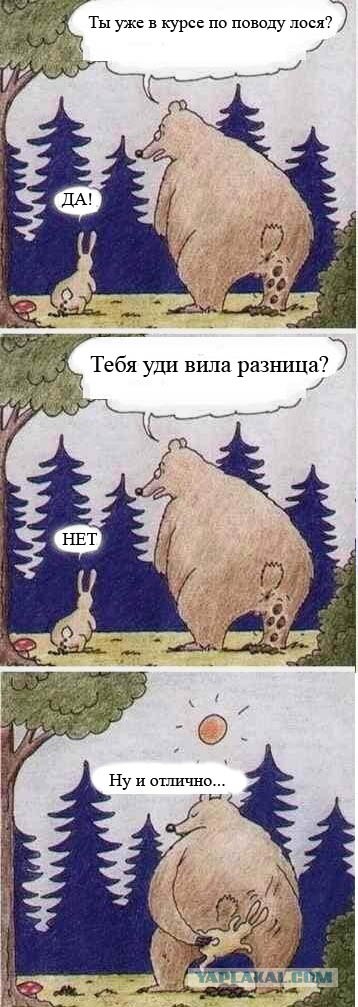 Удивительное рядом