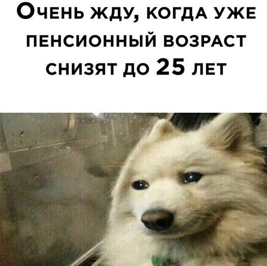 Немного картинок для настроения 04.09.20