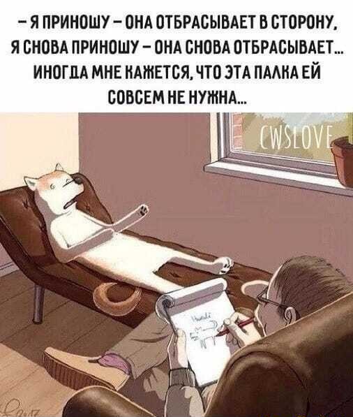 Собаки бывают