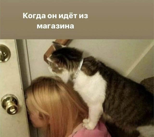 Картинки с надписями, фразы и анекдоты
