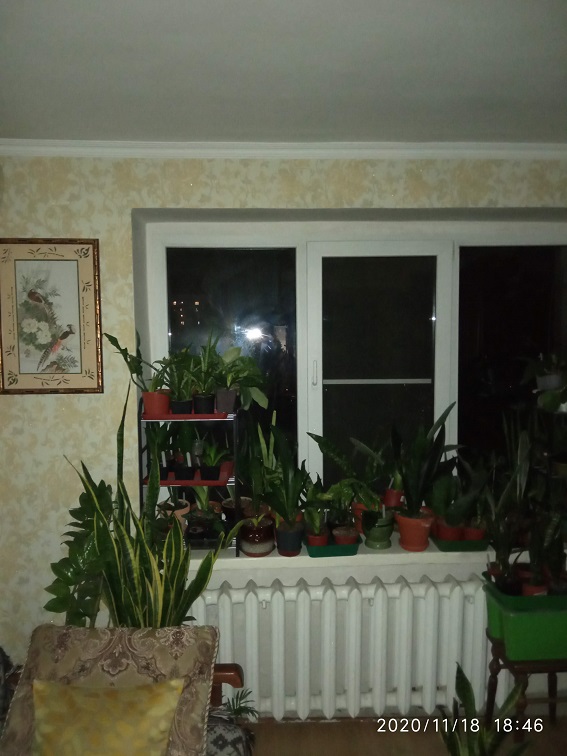 Семьи с детьми в новом ЖК пожаловались на вечно голого любителя порно