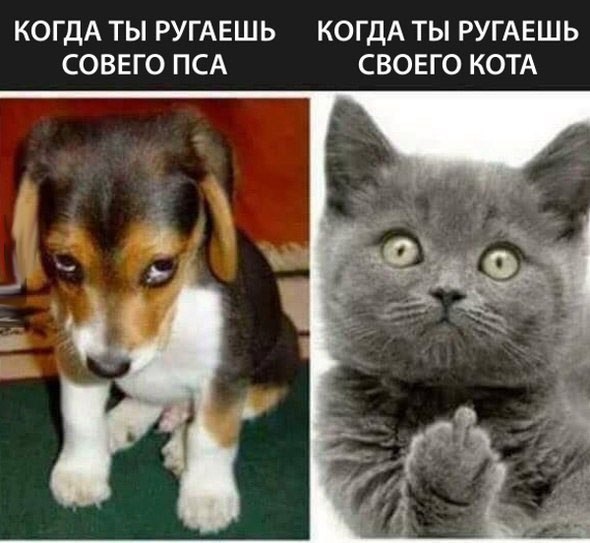Баянисто-небаянистый юмор. 30.11.20