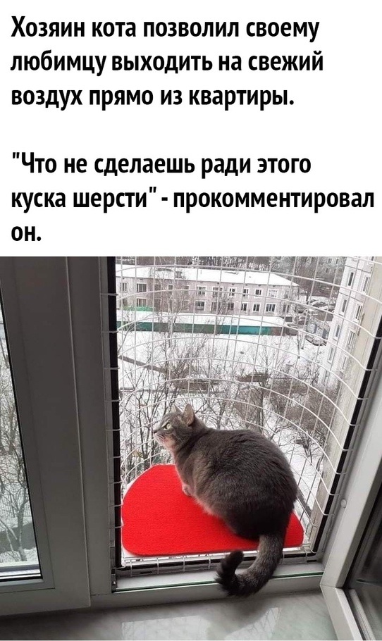 Весёлый полтишок 8.03