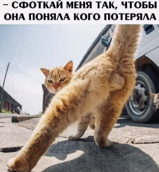 21+! Когда у вас отношения на расстоянии