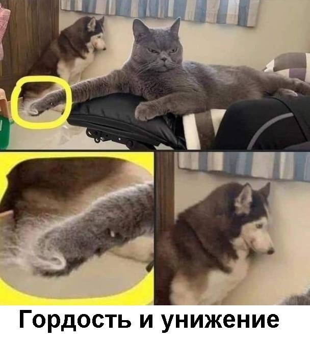 Картинки с надписями и всякие жизненные фразы 10.07.21