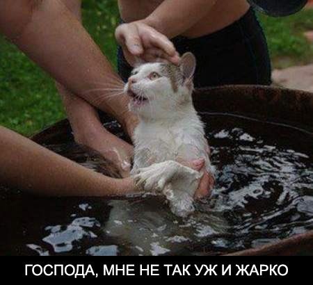 Так себе картинки 11.08.21
