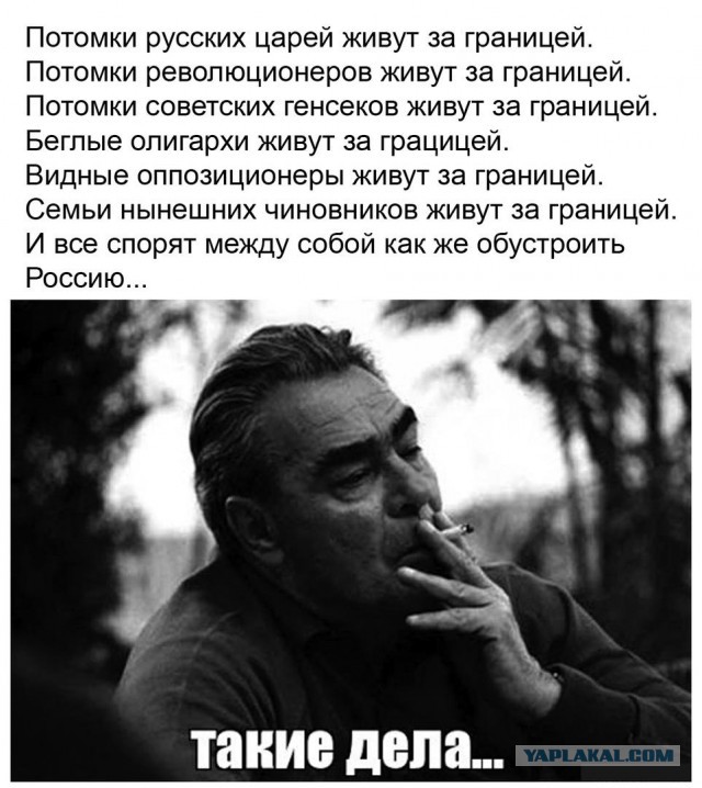 Картинки - не картинки. Смешные - не смешные 2