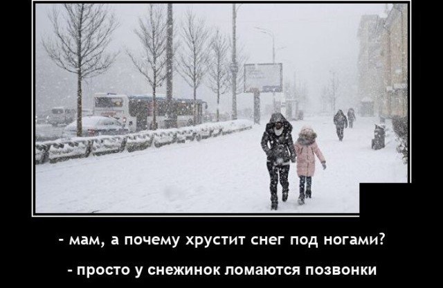 Всякие разные картинки 22.11.2021