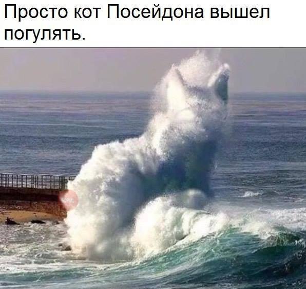 Картинки для поднятия настроения