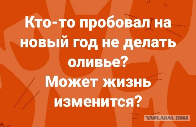 Бредзона 11.12