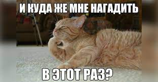 Сегодня кот наср*л на стену