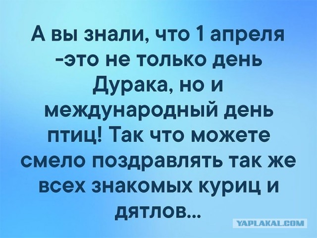 Пятница. Вечер. Картинки всякие... #3