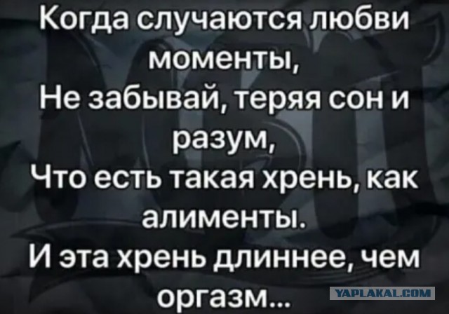Забавные и веселые картинки