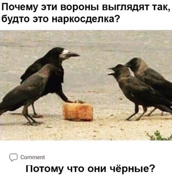 Калейдоскоп картинок