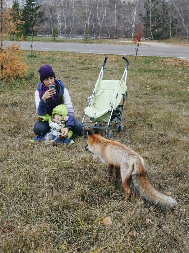Поездка в Красноярск