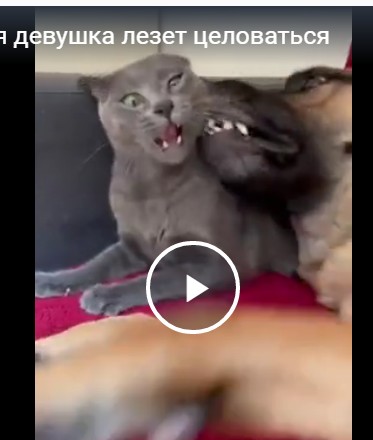 Когда пьяная девушка лезет целоваться