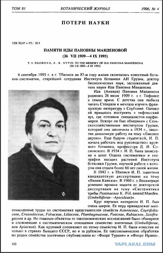 Хотели всех накормить и устроили катастрофу: как теперь избавиться от борщевика