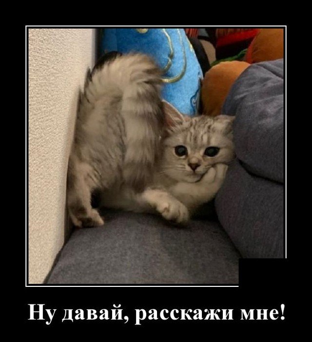 Грош цена женскому слову