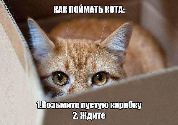 Картинки и мемы, всем хороших выходных
