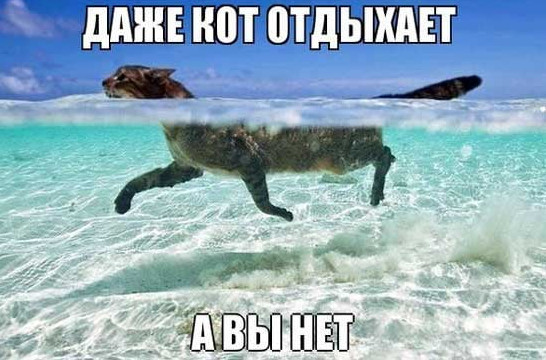 Картинки и мемы, всем хороших выходных