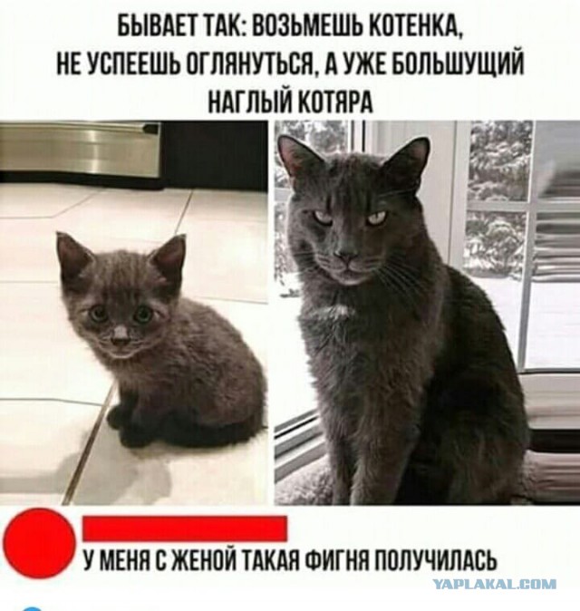 Картинки и мемы. Выходные близко...
