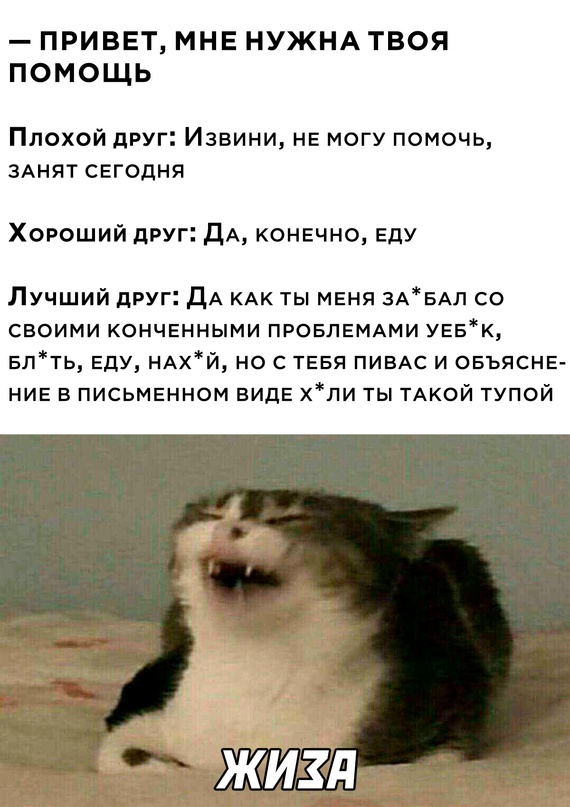 Картинки и мемы для настроения - 125