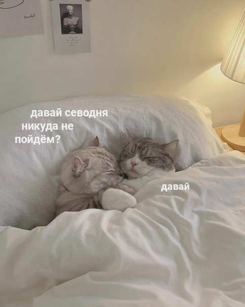 Немного картинок для настроения
