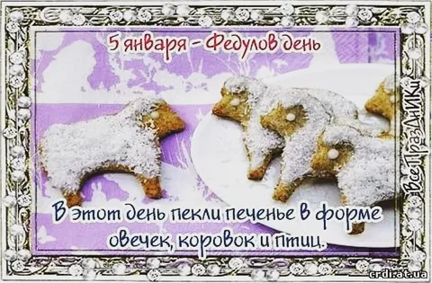 Победная поступь идиотизма по планете – том 5