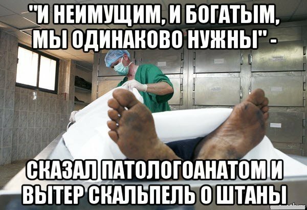 Суровые и противные факты от судмедэксперта