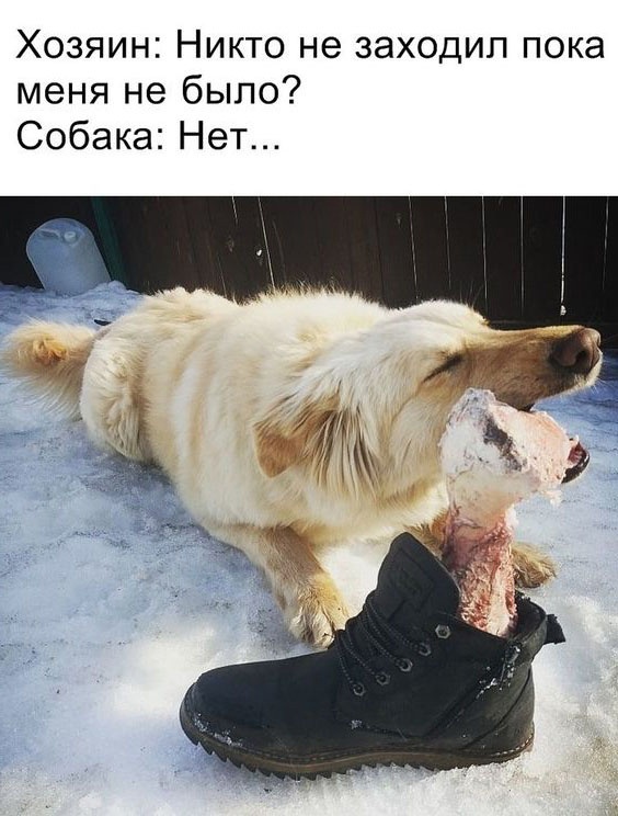 Так себе картинки 12.02.23