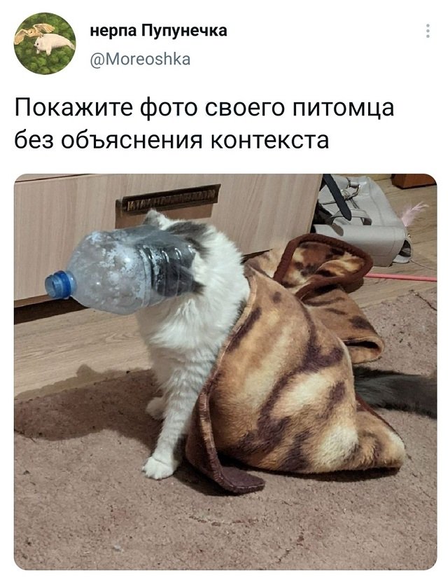 Немного картинок для настроения 07.03.2023