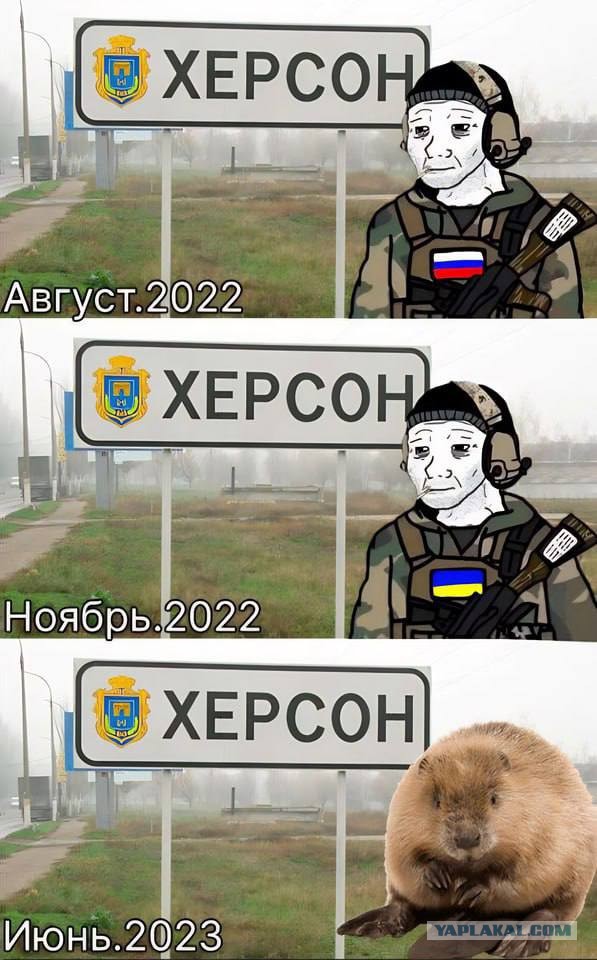 В Херсон начала прибывать вода и на улицы города вышли бобры.