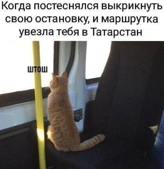В Архангельске пассажир решил не дожидаться остановки автобуса и вышел из него на ходу
