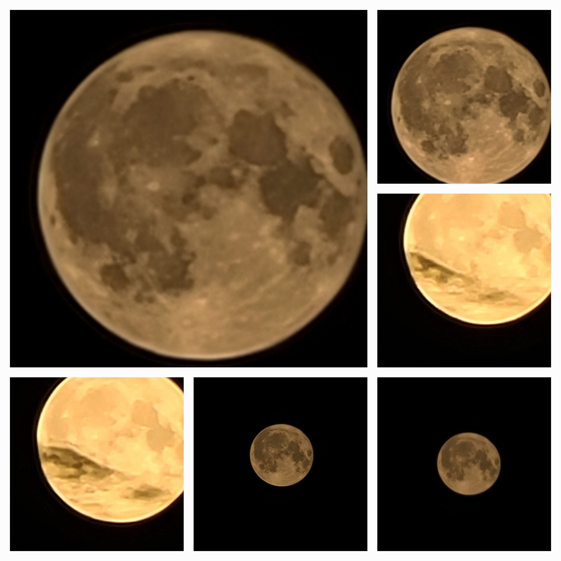 красивые стихи про луну. воздействие луны на человека. луна влияет на человека. влияние фаз луны на человека. что может случиться в полнолуние.