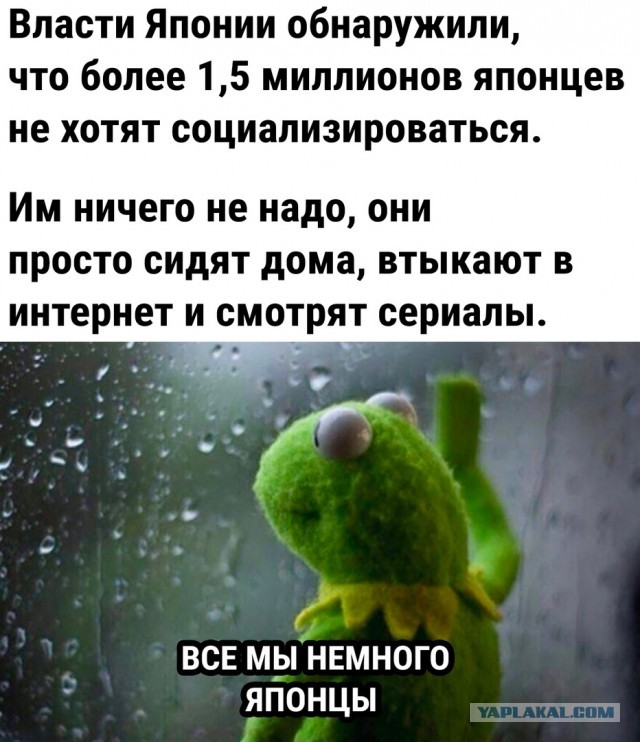 Так себе картинки 28.07.23