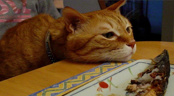 Рыба на парУ по-китайски