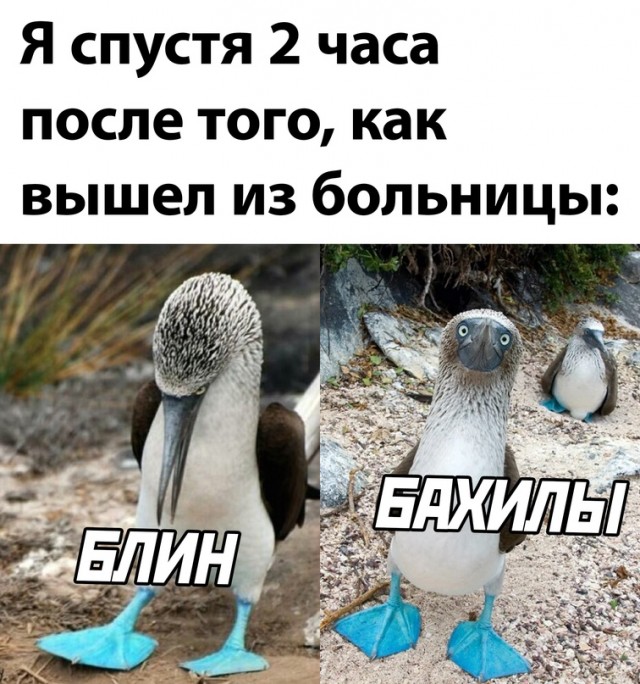 Ля какие подкрадули