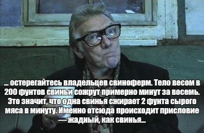 Про Борьку... рассказ.