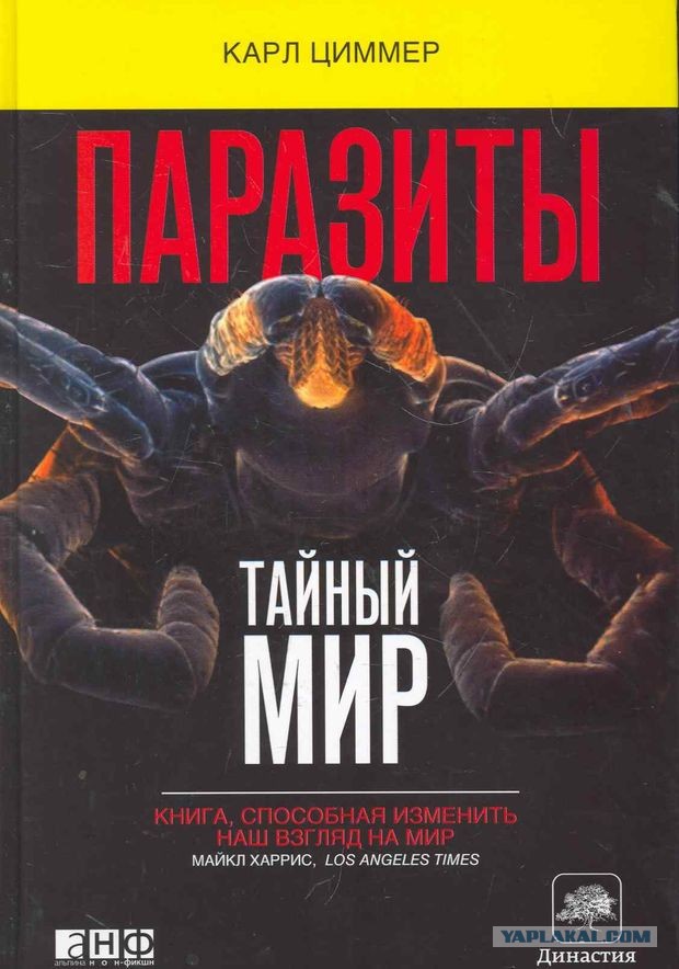 Самые смертоносные паразиты в природе