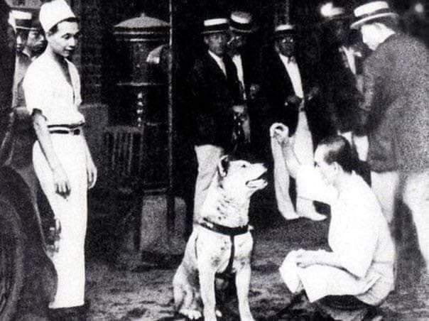 Редкие кадры и архивные снимки. 14.02.24