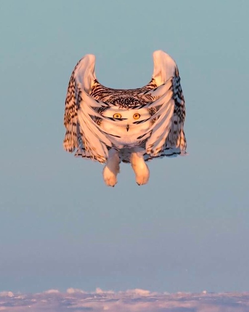 Просто картинки 27.02