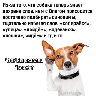 Деградильня