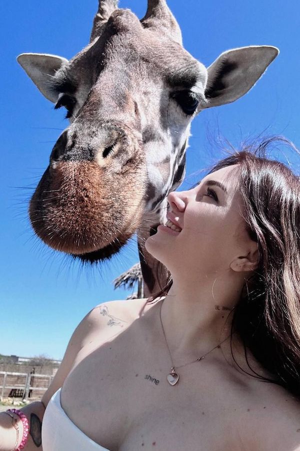 ФотоВинегрет